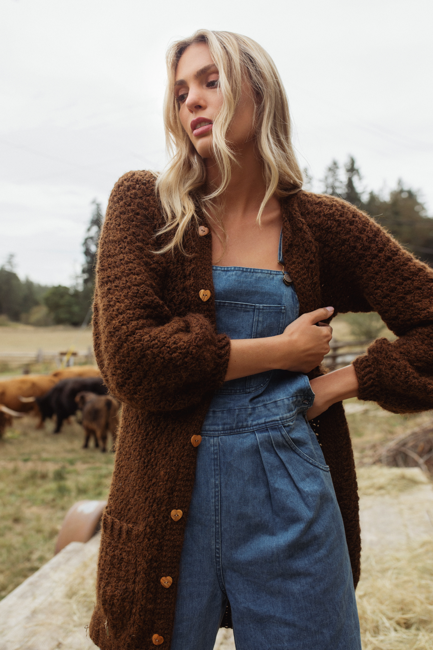 Alpaca Ingrid Cardigan